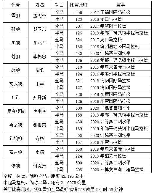 遇見(jiàn)更好的自己-北方的狼 ——?jiǎng)倮摴荞R拉松隊(duì)